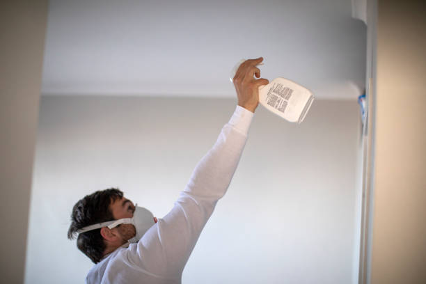 Best Professional Mold Removal  in Red Bud, IL