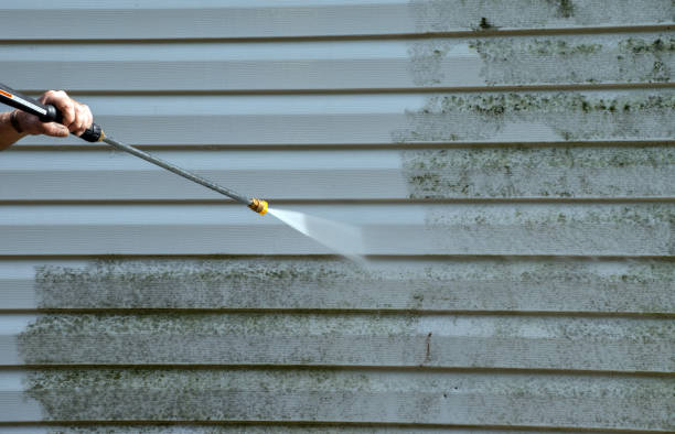 Best Residential Mold Removal  in Red Bud, IL