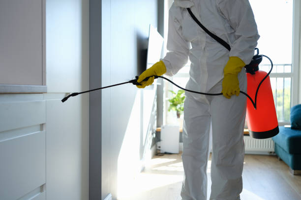 Best Commercial Mold Removal  in Red Bud, IL
