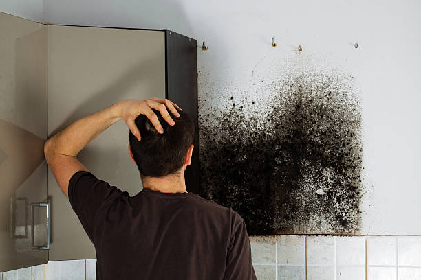 Best Mold Testing  in Red Bud, IL